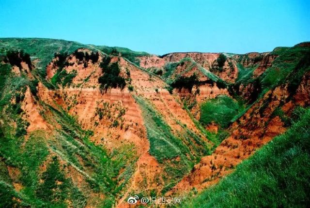 格列卫列入医保目录吗,格列卫最新药