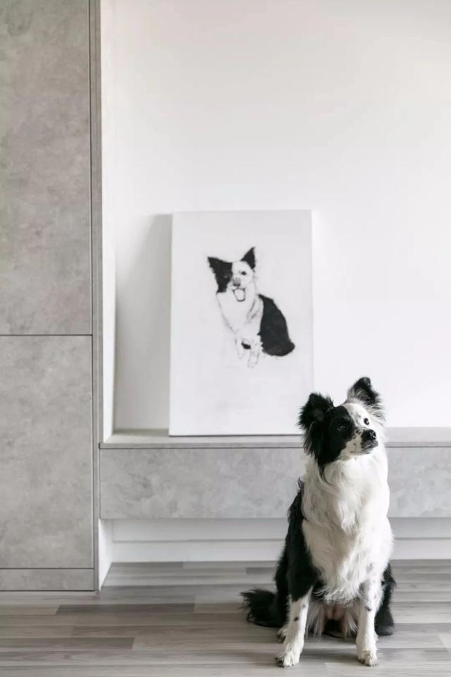 杭州丁克夫妻的房子,一个丁克家庭