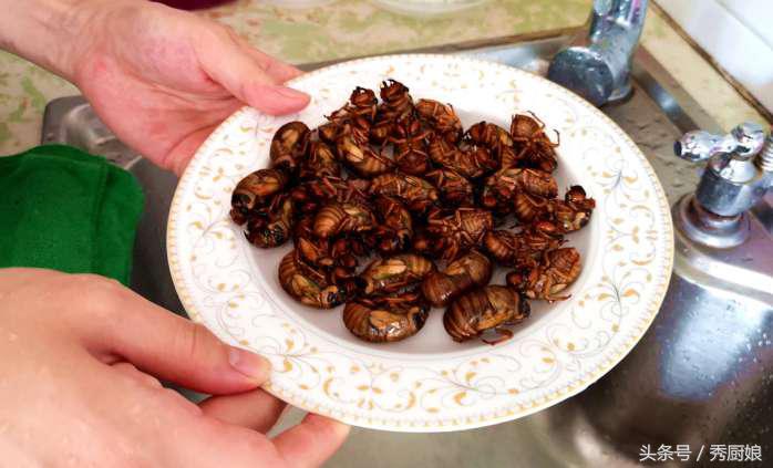 知了猴的最佳吃法,知了猴怎么做法才好吃