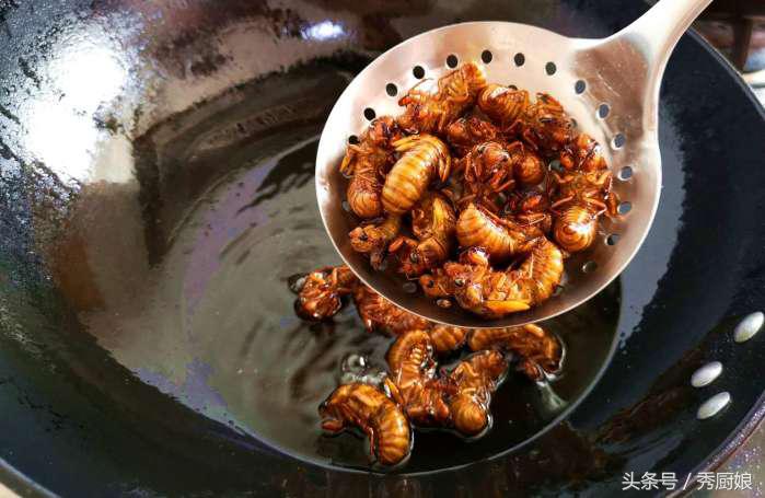 知了猴的最佳吃法,知了猴怎么做法才好吃