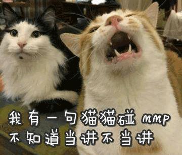 「沙富济贫」「马不停踢」稳中带皮的世界杯成语你知道吗？