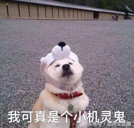 海娜纹身推荐,印度街头海娜纹身完整版