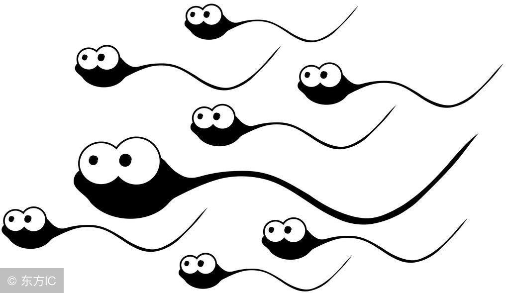 精子分析全过程,精子质量分析操作规程