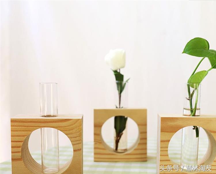 水培绿萝怎样可以长得更快更好,水培绿萝培育气根