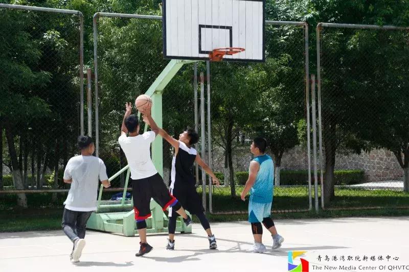 青岛港湾职业学院报考条件,青岛高考志愿填报推荐