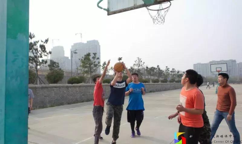 青岛港湾职业学院报考条件,青岛高考志愿填报推荐