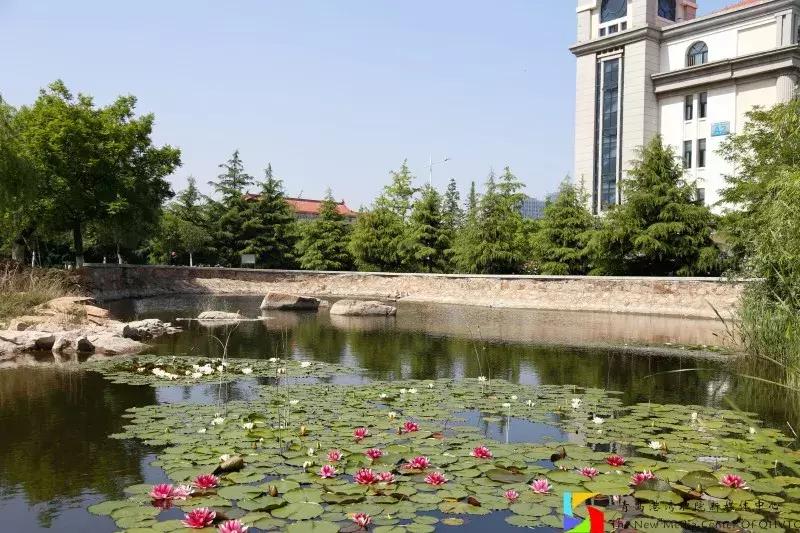 青岛港湾职业学院报考条件,青岛高考志愿填报推荐
