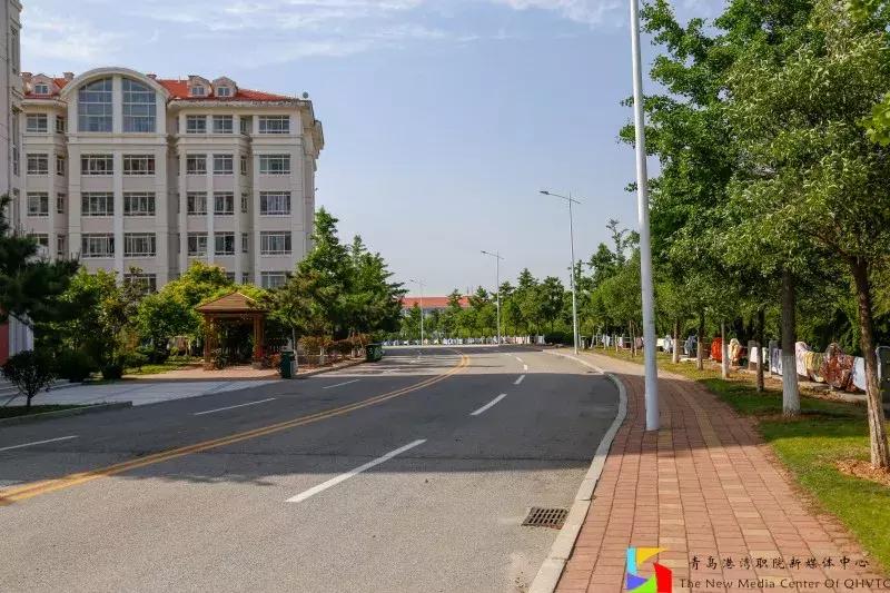 青岛港湾职业学院报考条件,青岛高考志愿填报推荐