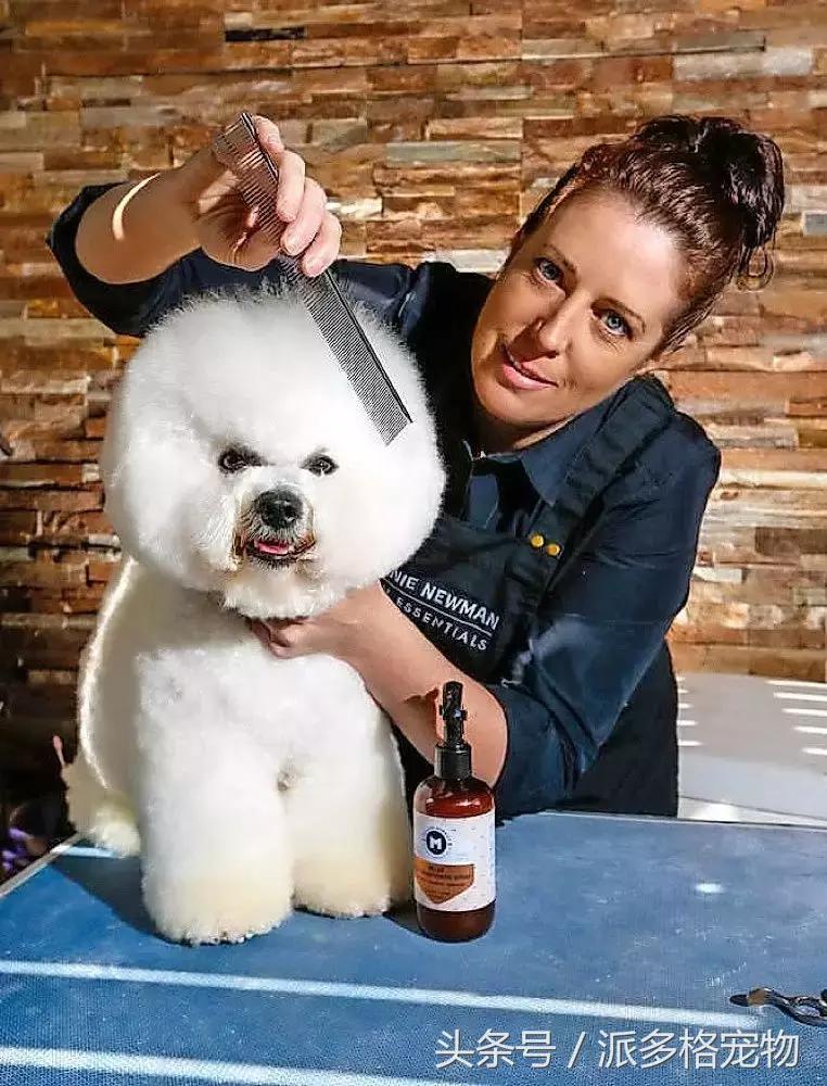 品牌国际化加速派多格引入梅兰妮纽曼系列高端宠物洗护产品