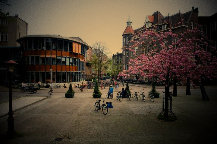 世界名校介绍——荷兰阿姆斯特丹大学