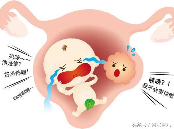怀孕时穿的孕妇裤怎么处理,怀孕期间有六种表现的孕妈恭喜了