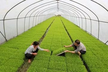 做农业都是为了赚钱别谈什么情怀,做农业为什么要有情怀