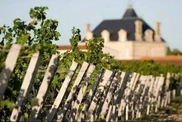 做农业都是为了赚钱别谈什么情怀,做农业为什么要有情怀