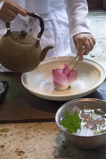 鸣翠湖荷花之美,今夏赏荷必去景点