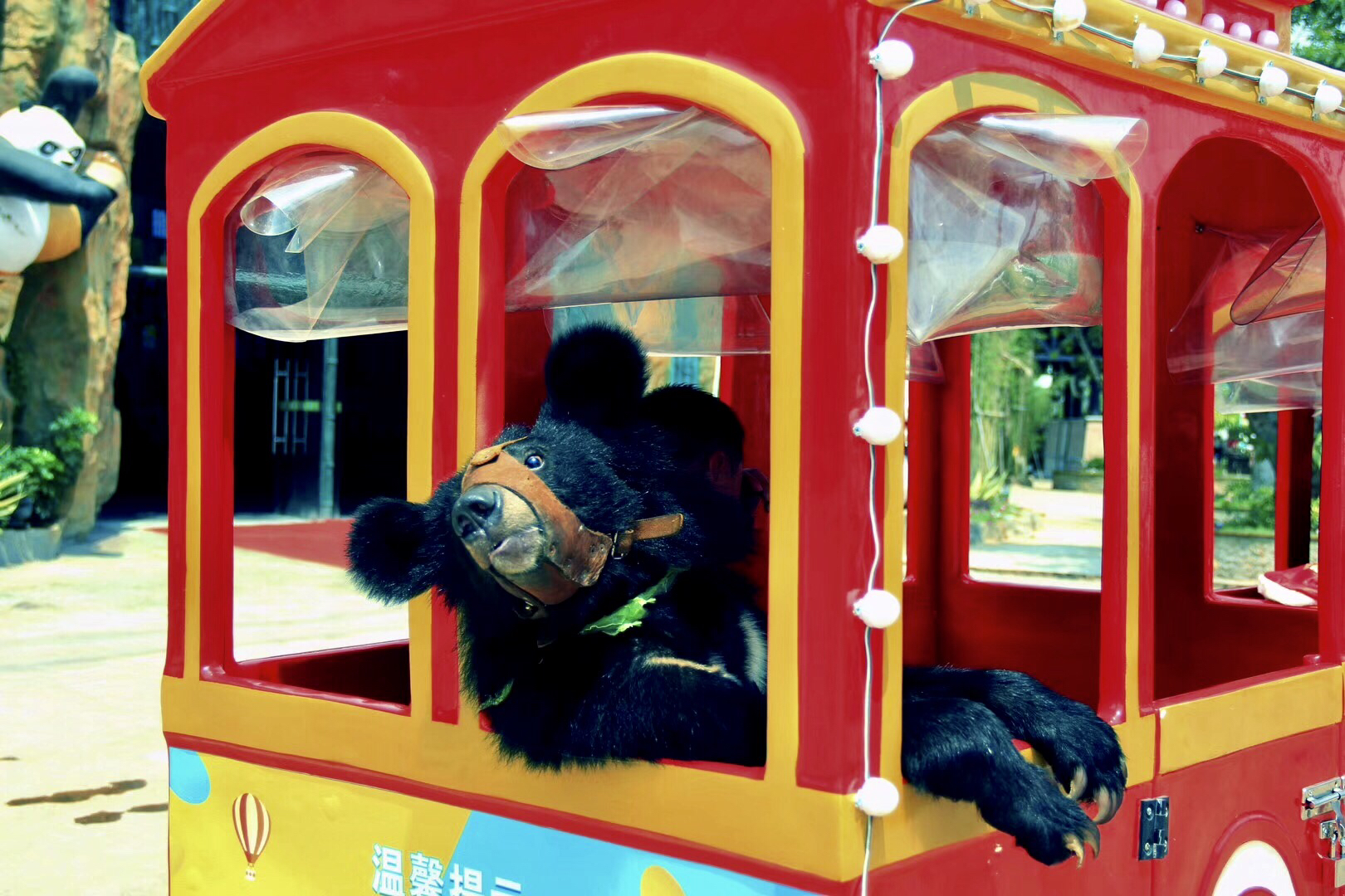 厦门灵玲国际马戏熊猫馆,厦门市灵玲国际马戏城