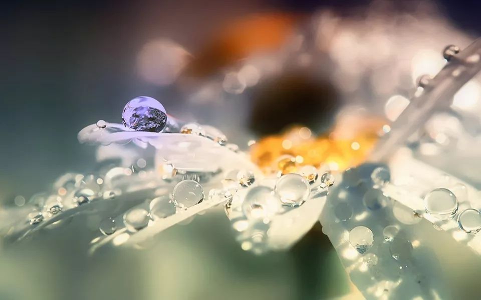 南宁人请注意！“免费”套路又来了，一家鼻炎馆涉嫌无证行医被查