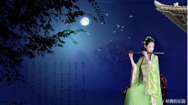 关于明月的诗句大全唯美,宋词里的明月绝美经典57句