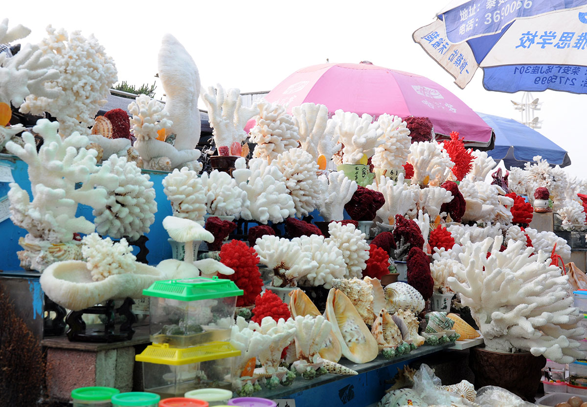 日照东方太阳城旅游区,日照东方旅游度假区