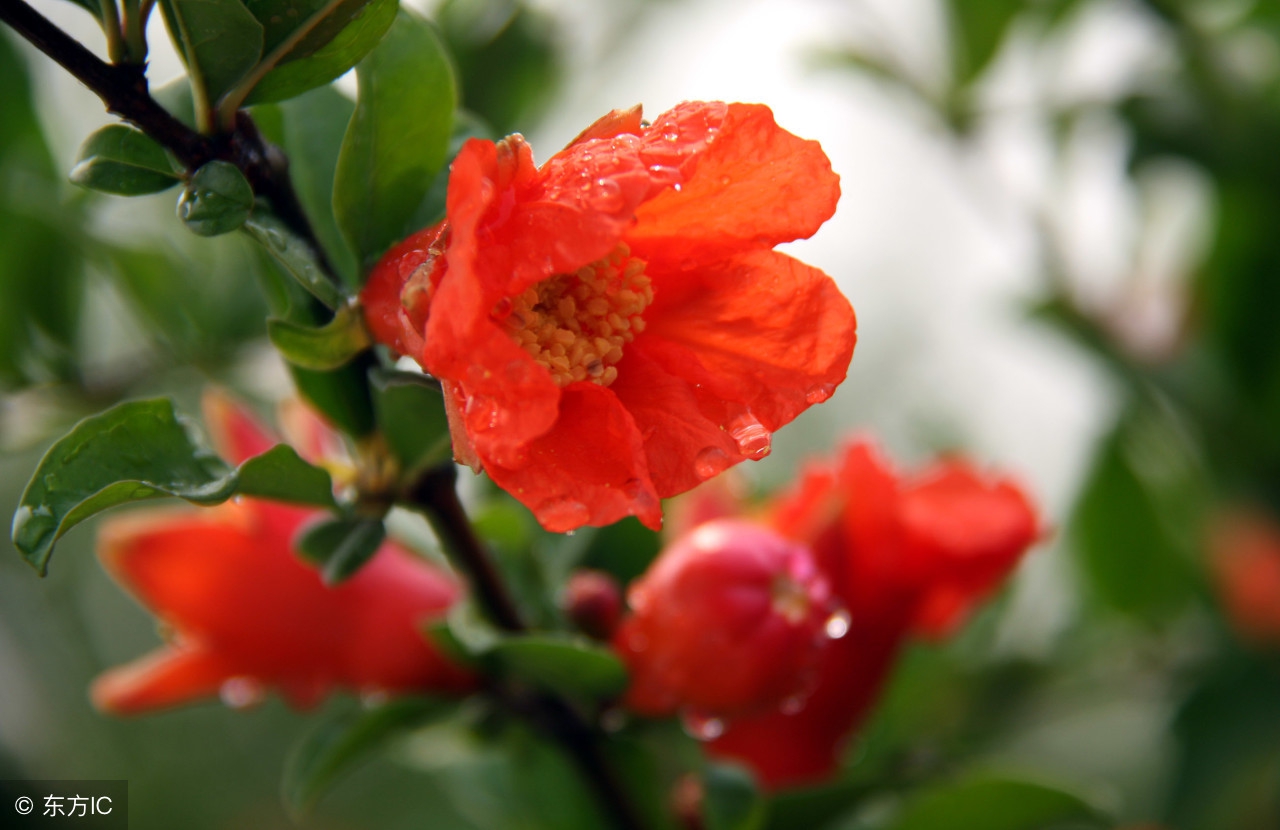 流水碧山长入句，余生仍做读书人：李冠群—纷扰红尘，携一缕墨香