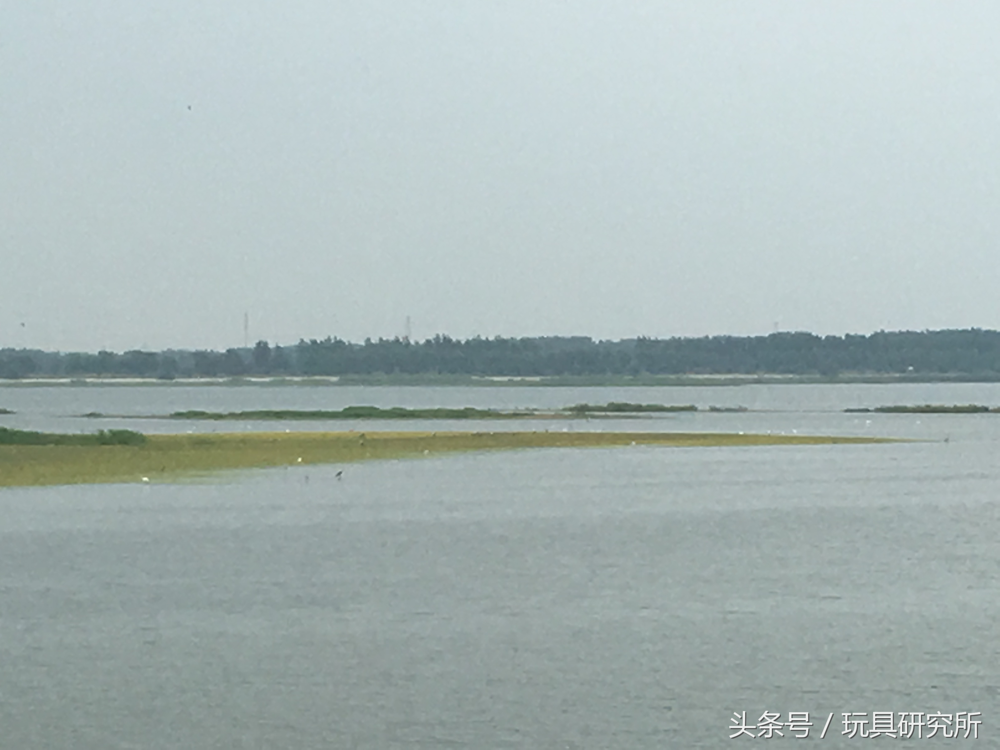 辽中珍珠湖看荷花带着孩子去哪儿玩珍珠湖环湖游沈阳周边游