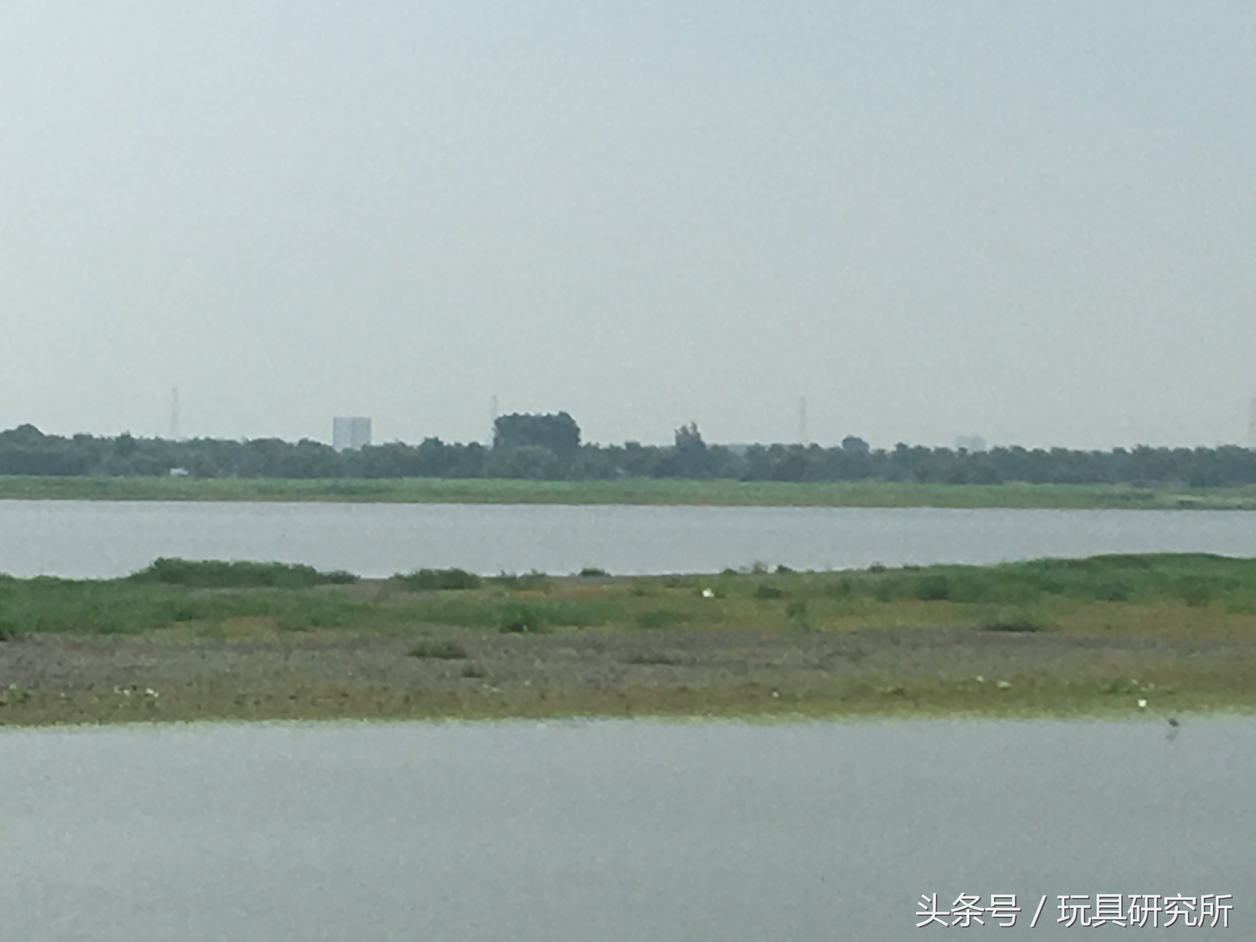 辽中珍珠湖看荷花带着孩子去哪儿玩珍珠湖环湖游沈阳周边游