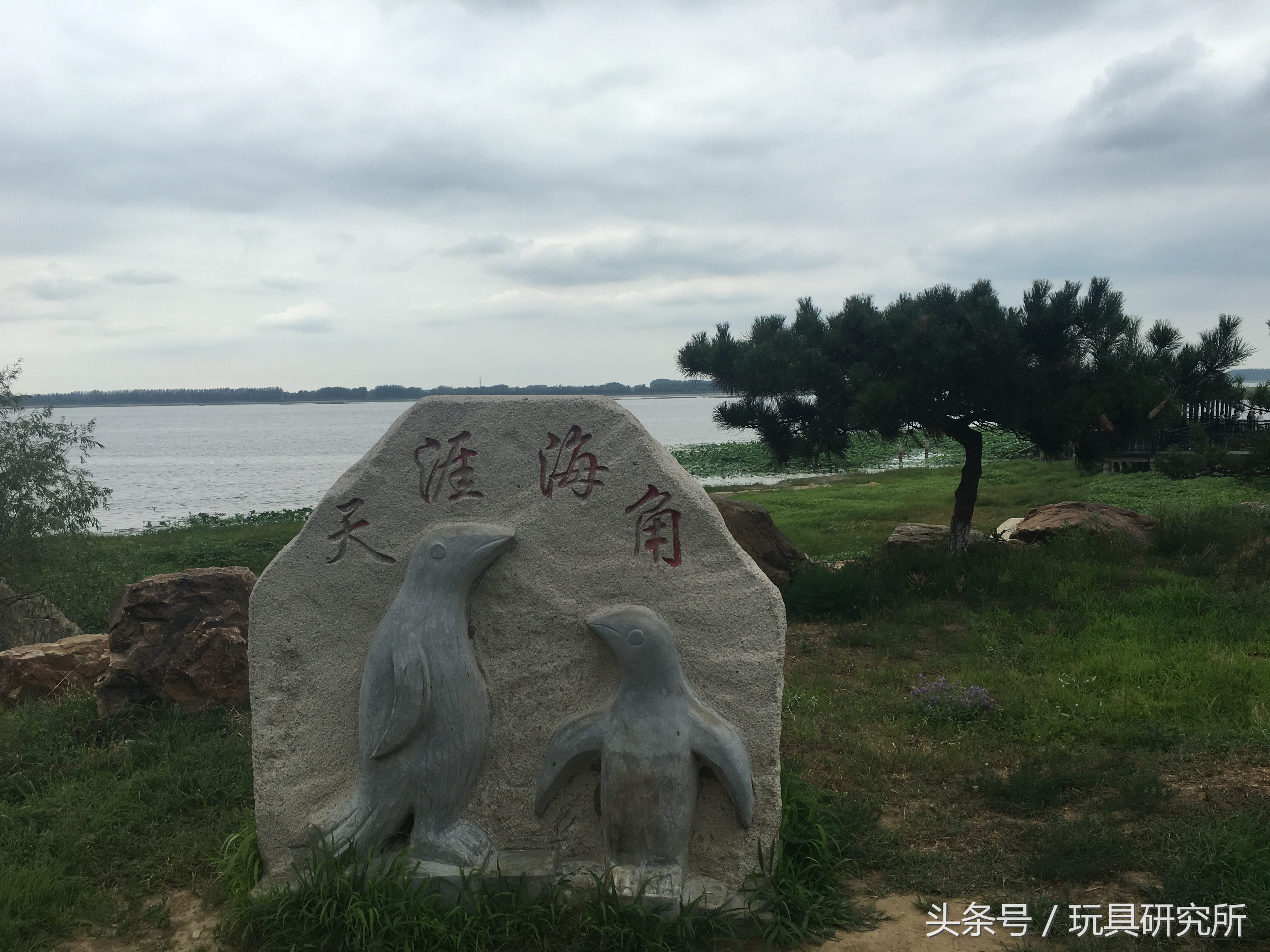 辽中珍珠湖看荷花带着孩子去哪儿玩珍珠湖环湖游沈阳周边游