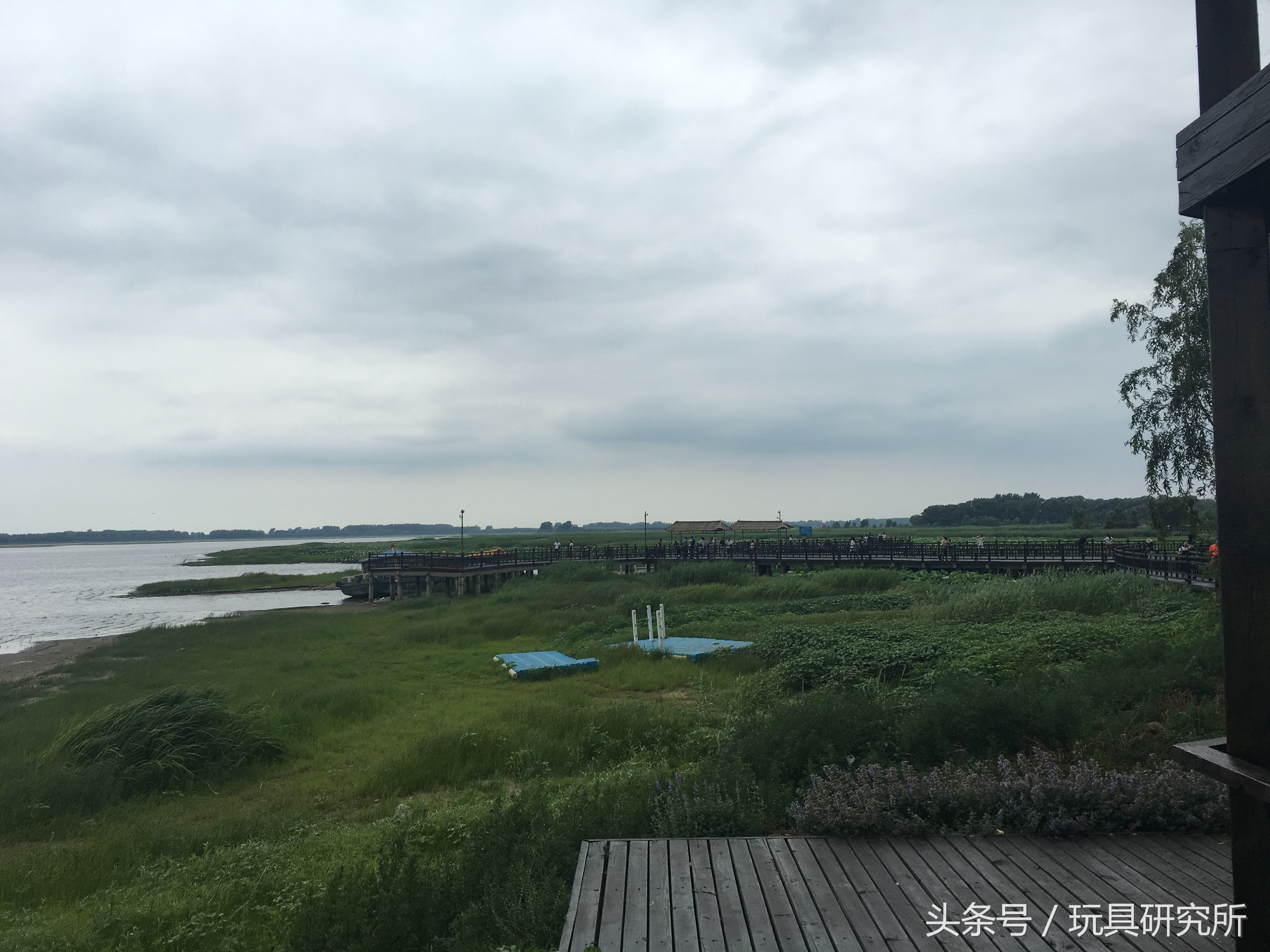 辽中珍珠湖看荷花带着孩子去哪儿玩珍珠湖环湖游沈阳周边游