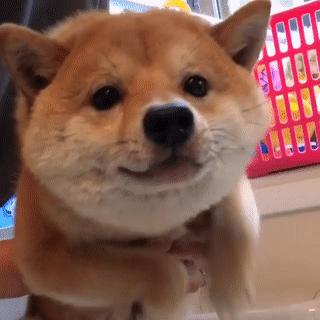 全球顶级电竞主播大调查（七）国内篇：指法芬芳张大仙·一姐之路