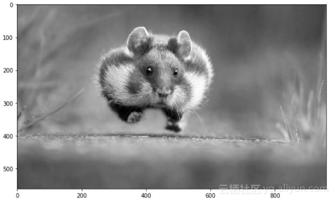 opencv保存numpy图像,基于opencv图像识别基本过程