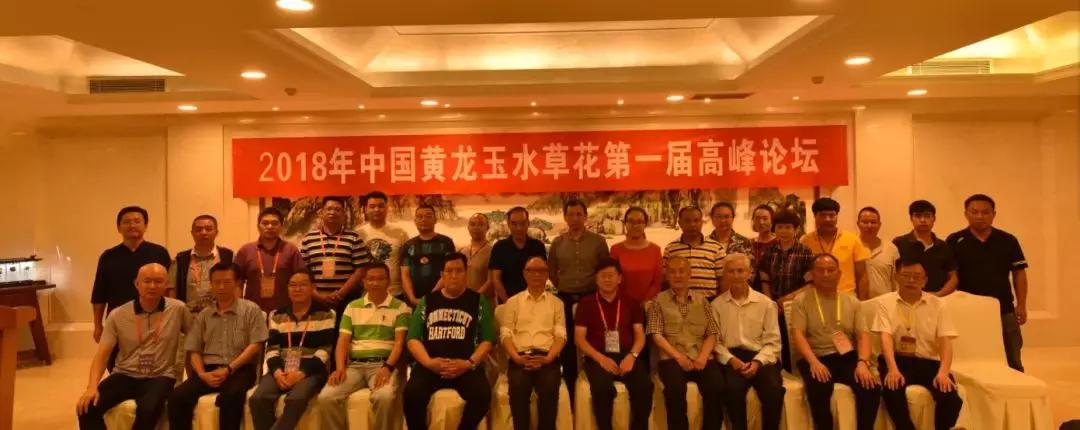 黄龙玉水草花亮点,顶级黄龙玉水草花