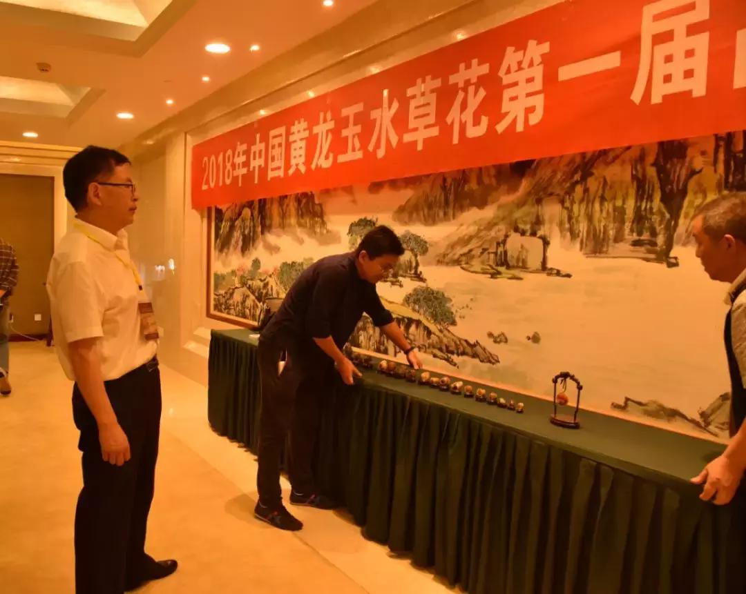 黄龙玉水草花亮点,顶级黄龙玉水草花