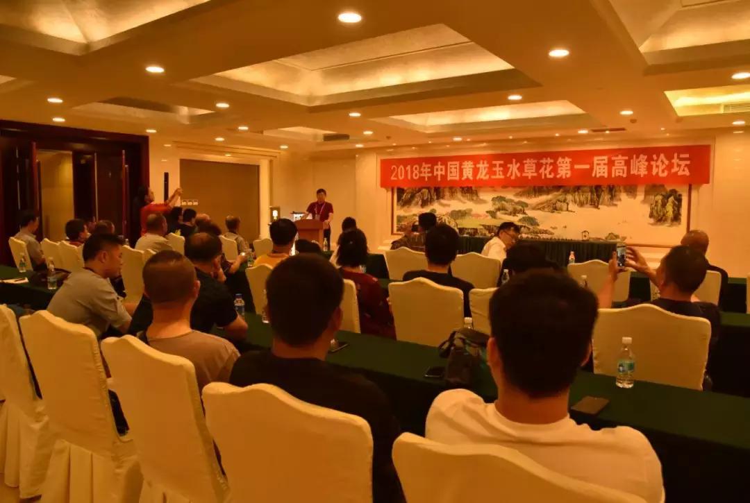 黄龙玉水草花亮点,顶级黄龙玉水草花