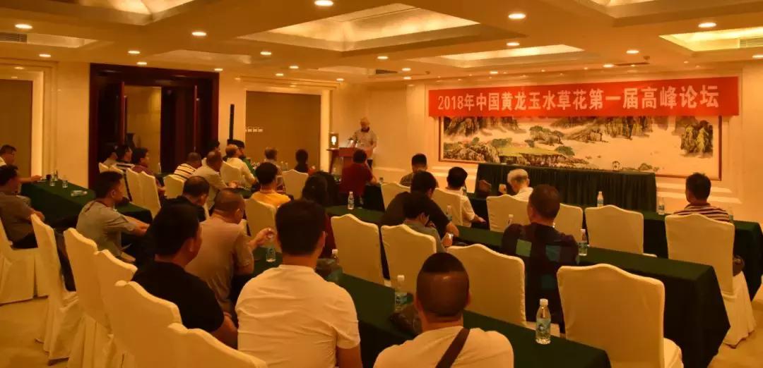 黄龙玉水草花亮点,顶级黄龙玉水草花