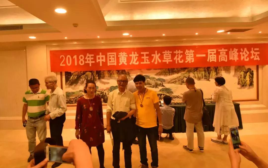 黄龙玉水草花亮点,顶级黄龙玉水草花