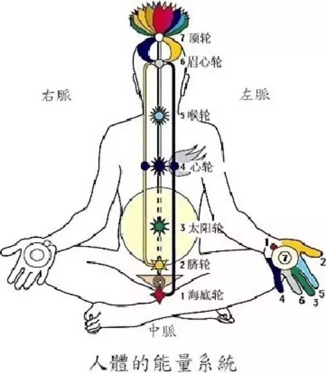 心脏脉轮阻塞怎么办？一组瑜伽音乐打开你的心｜瑜伽生活