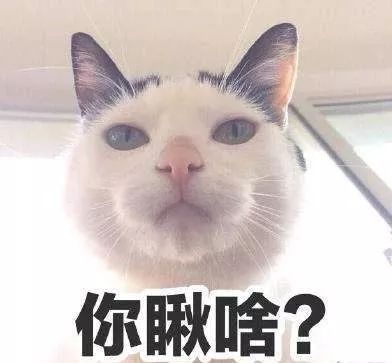 「晋江囧仙」嫌客人一直玩手机女服务员一气之下把粥扣在客人脑袋上