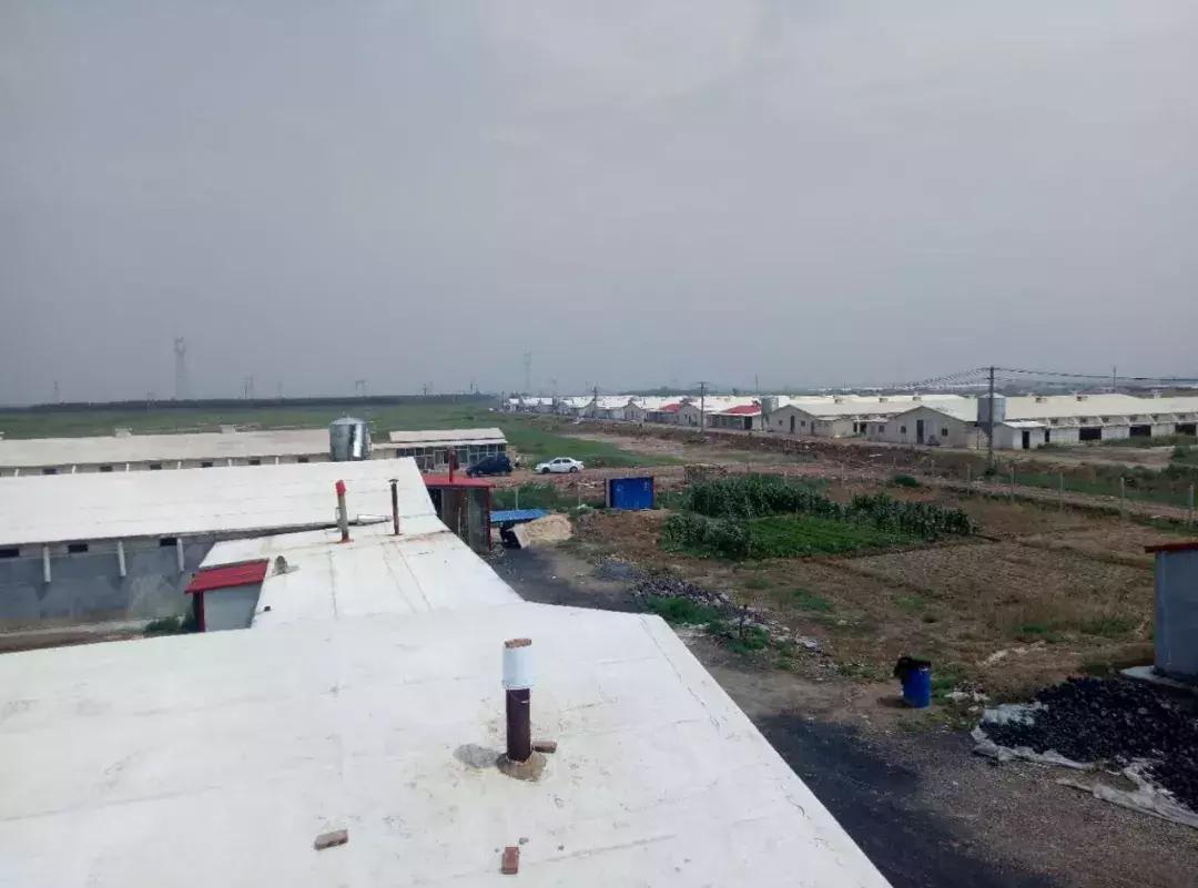 我的人生重新开始,我的人生改变完整版