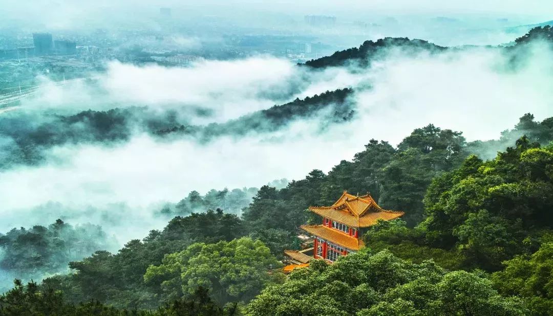 广西最美十大景点排名第一,广西最美十大景点排名