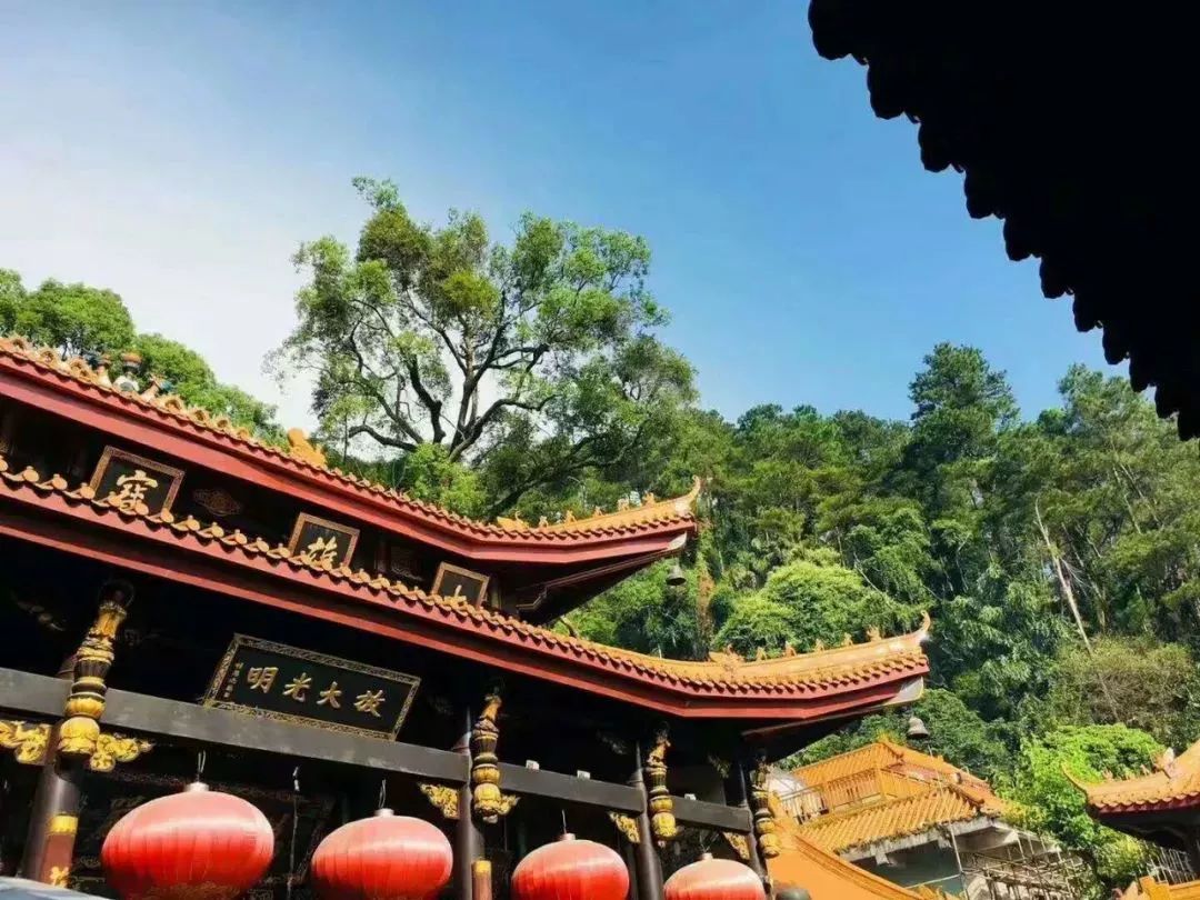 广西最美十大景点排名第一,广西最美十大景点排名