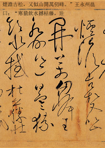 书法作品草书集锦,书法天下第一草书作品