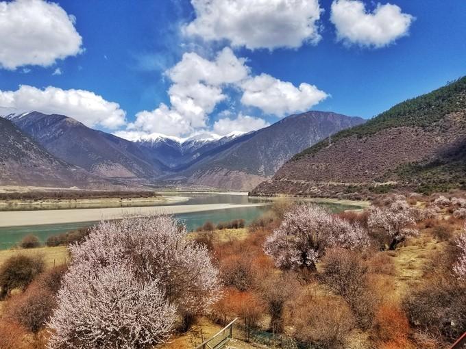 *藏西**,我历经十里桃花劫,只为寻心之所往