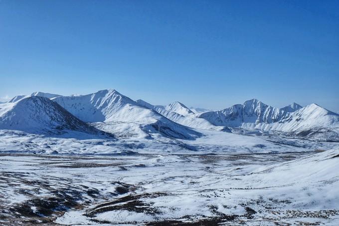 *藏西**,我历经十里桃花劫,只为寻心之所往