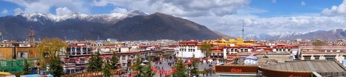 *藏西**,我历经十里桃花劫,只为寻心之所往