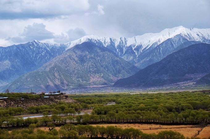 *藏西**,我历经十里桃花劫,只为寻心之所往