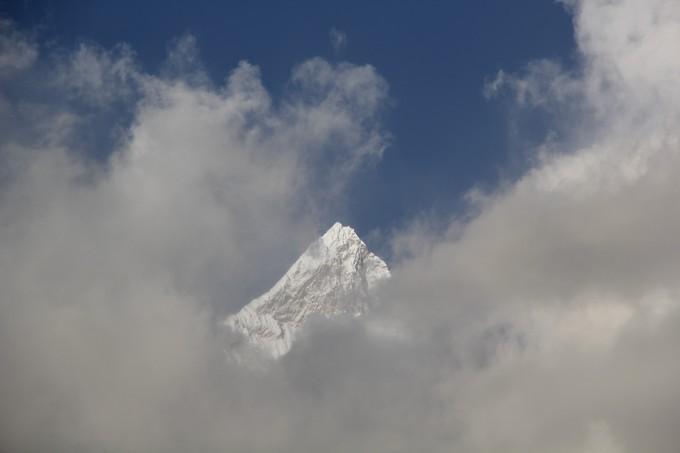 *藏西**,我历经十里桃花劫,只为寻心之所往