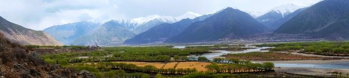 *藏西**,我历经十里桃花劫,只为寻心之所往