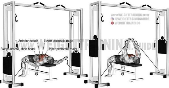 综合健身锻炼肌肉的正确方法,基础健身肌肉训练方法