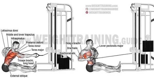 综合健身锻炼肌肉的正确方法,基础健身肌肉训练方法