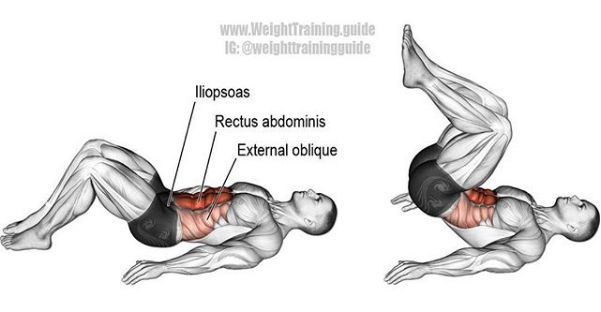综合健身锻炼肌肉的正确方法,基础健身肌肉训练方法
