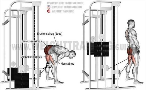 综合健身锻炼肌肉的正确方法,基础健身肌肉训练方法